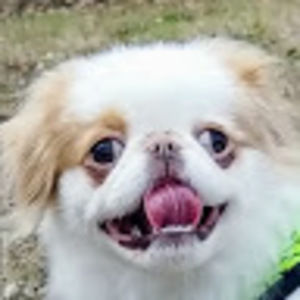 Meet your Posher, Jenneyfay